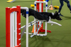 2023-AADTC-April-Trial-1018