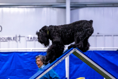 2023-AADTC-April-Trial-102