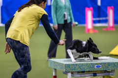 2023-AADTC-April-Trial-1020