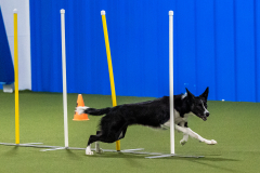 2023-AADTC-April-Trial-1024