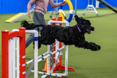 2023-AADTC-April-Trial-1026