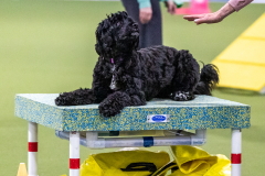 2023-AADTC-April-Trial-1027