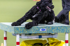 2023-AADTC-April-Trial-1028