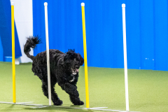 2023-AADTC-April-Trial-1029