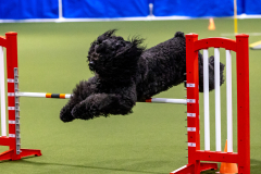 2023-AADTC-April-Trial-103