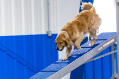 2023-AADTC-April-Trial-1031