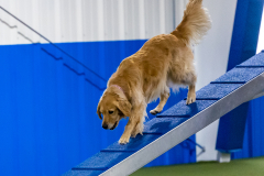 2023-AADTC-April-Trial-1032