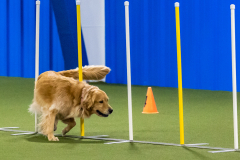 2023-AADTC-April-Trial-1036