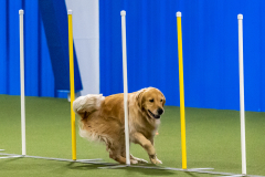 2023-AADTC-April-Trial-1037