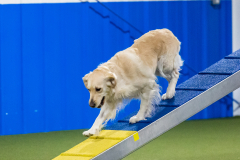 2023-AADTC-April-Trial-1042