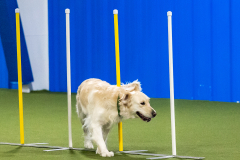 2023-AADTC-April-Trial-1045