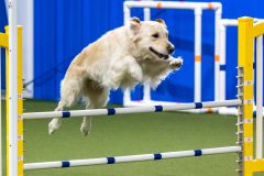 2023-AADTC-April-Trial-1046