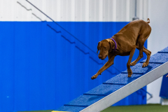 2023-AADTC-April-Trial-1047