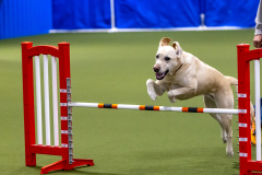 2023-AADTC-April-Trial-105