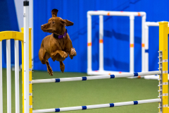 2023-AADTC-April-Trial-1053