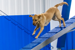 2023-AADTC-April-Trial-1054