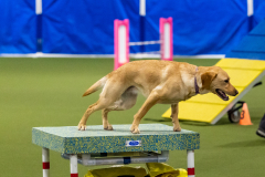 2023-AADTC-April-Trial-1058