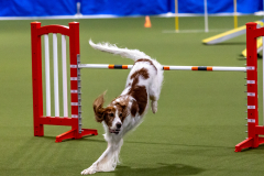 2023-AADTC-April-Trial-106