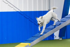 2023-AADTC-April-Trial-1061