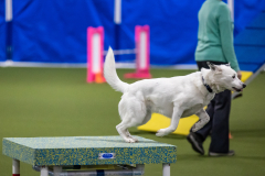 2023-AADTC-April-Trial-1063