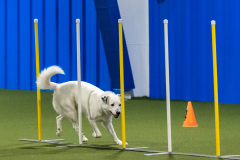 2023-AADTC-April-Trial-1064