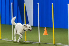 2023-AADTC-April-Trial-1065