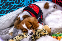 2023-AADTC-April-Trial-107