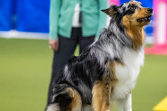 2023-AADTC-April-Trial-1070