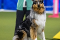 2023-AADTC-April-Trial-1071