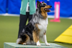 2023-AADTC-April-Trial-1072