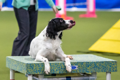 2023-AADTC-April-Trial-1080