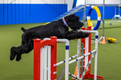 2023-AADTC-April-Trial-1083