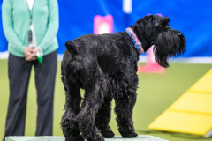 2023-AADTC-April-Trial-1084