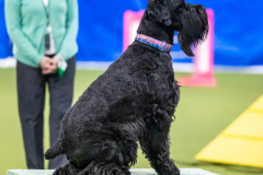 2023-AADTC-April-Trial-1085