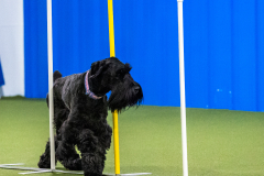 2023-AADTC-April-Trial-1086