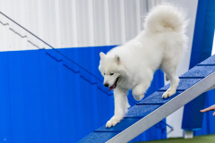 2023-AADTC-April-Trial-1088