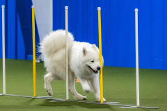 2023-AADTC-April-Trial-1093