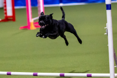 2023-AADTC-April-Trial-110