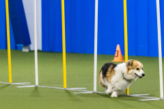 2023-AADTC-April-Trial-1101