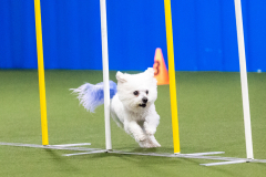 2023-AADTC-April-Trial-1106