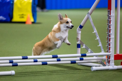 2023-AADTC-April-Trial-1107