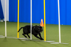 2023-AADTC-April-Trial-1117