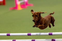 2023-AADTC-April-Trial-112