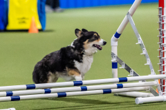 2023-AADTC-April-Trial-1120