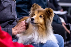 2023-AADTC-April-Trial-113