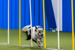 2023-AADTC-April-Trial-1141