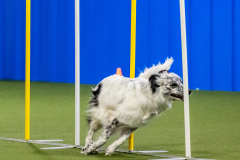 2023-AADTC-April-Trial-1143