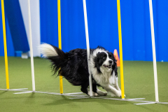 2023-AADTC-April-Trial-1147