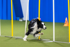 2023-AADTC-April-Trial-1152