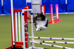 2023-AADTC-April-Trial-116